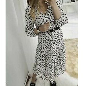 Zara Floral Shirt Dress